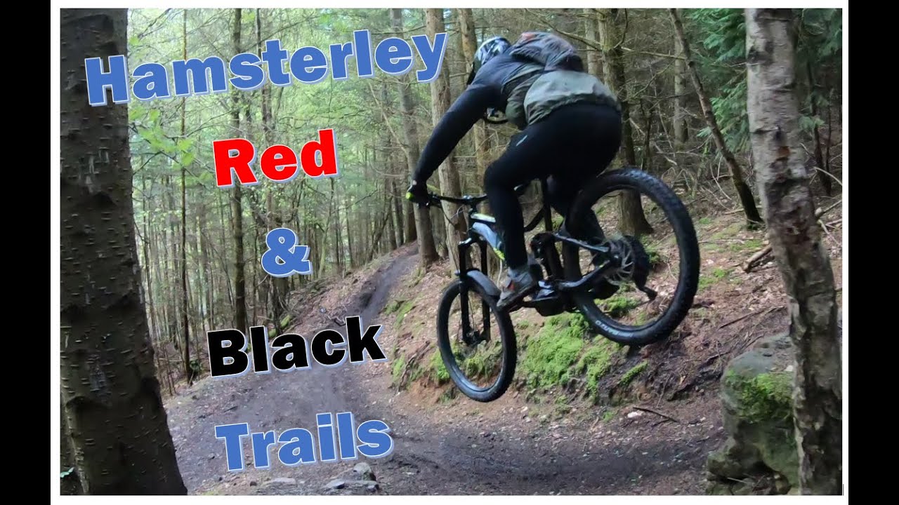 Hamsterley Forest Red & Black Downhill MTB Trails May 2021