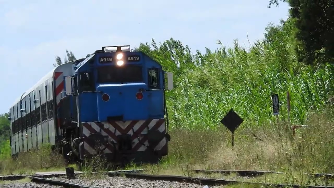 GM A919 Ingresando a Santa Catalina en HD! , hacia Temperley (FCGR 19-1-2026)#train #rail #railfan
