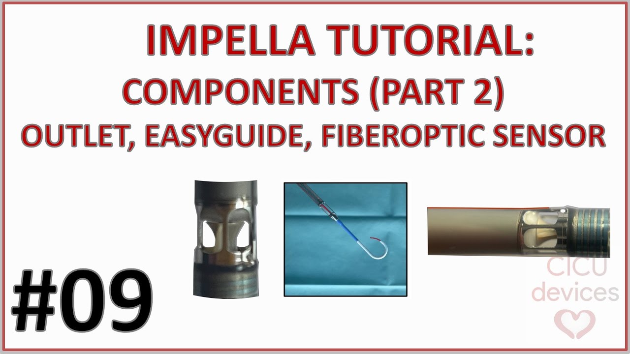 IMPELLA CP COMPONENTS EXPLAINED - OUTFLOW, EASYGUIDE LUMEN & FIBEROPTIC SENSOR (IMPELLA GUIDE 009)