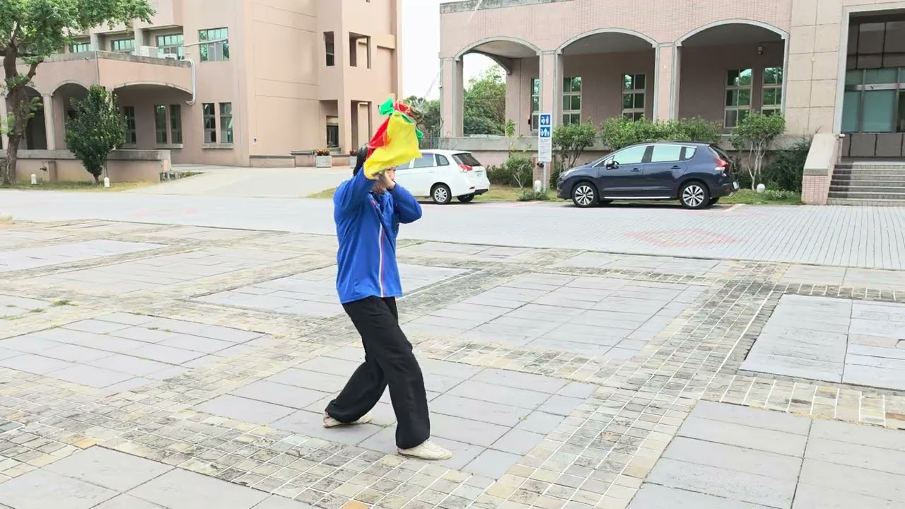 114/11/25沙鹿太極拳  練習影片     W茂生