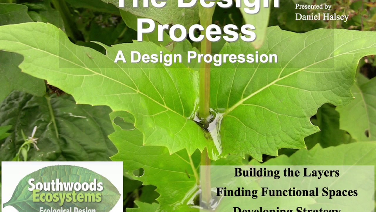 Design Theory 1.1B -  Digital Design with Daniel Halsey. Basic Design Progression