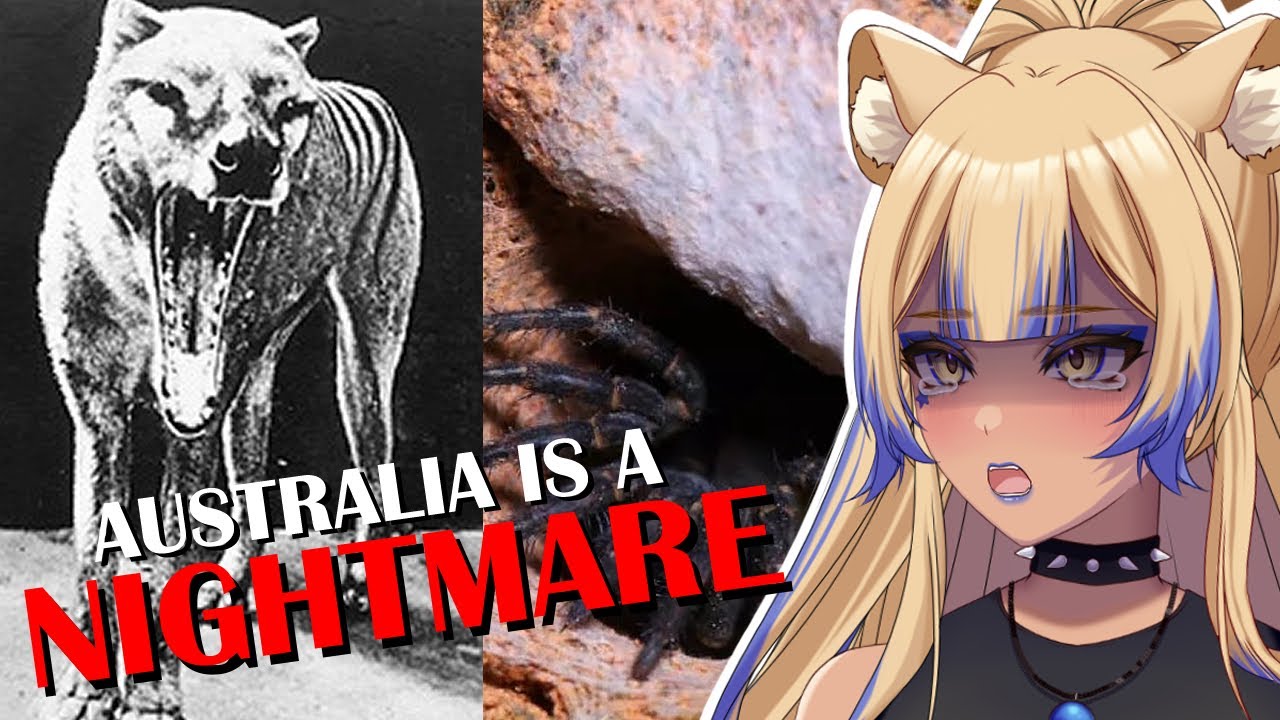 Австралия НЕ МОЖЕТ быть реальностью! | Ещё одна реакция Parz