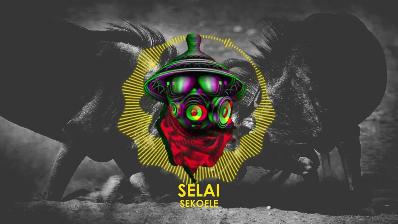 Selai - Sekoele