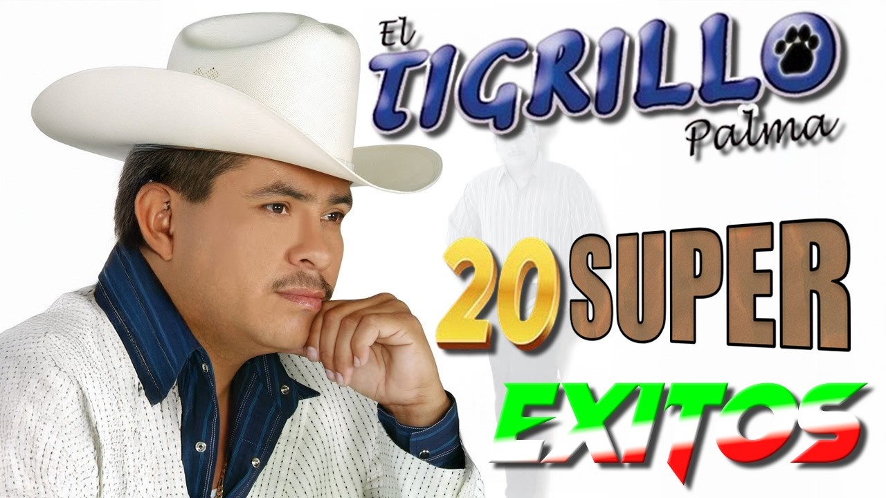 🔥 Corridos Con Sentimiento y Estilo Viejo | Historias Reales Que Nunca Pasan De Moda