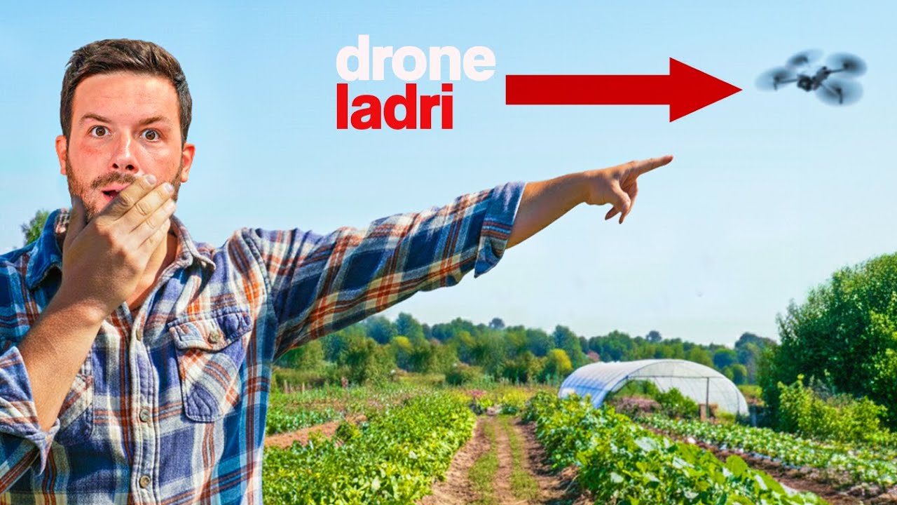 I LADRI MAPPANO la mia AZIENDA con il DRONE (eravamo in live)