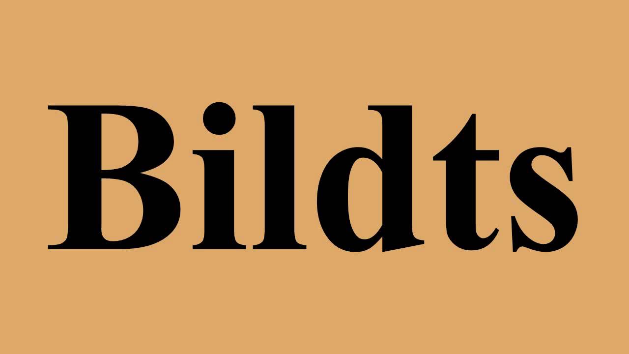 Bildts