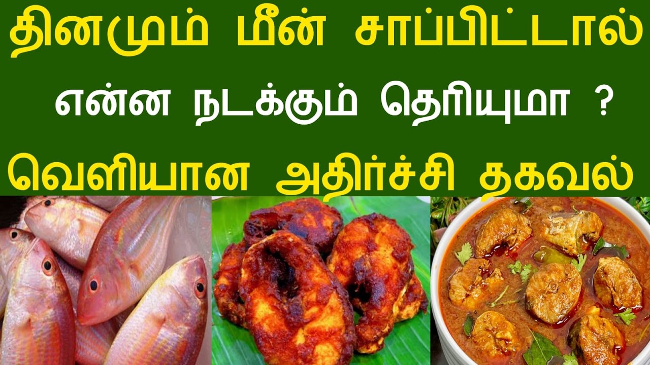 தினமும் மீன் சாப்பிட்டால் | என்ன நடக்கும் தெரியுமா ? வெளியான அதிர்ச்சி தகவல்