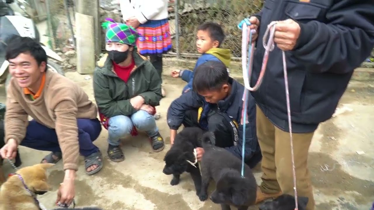 Discover the unique features of the year-end market in Northwest Vietnam.