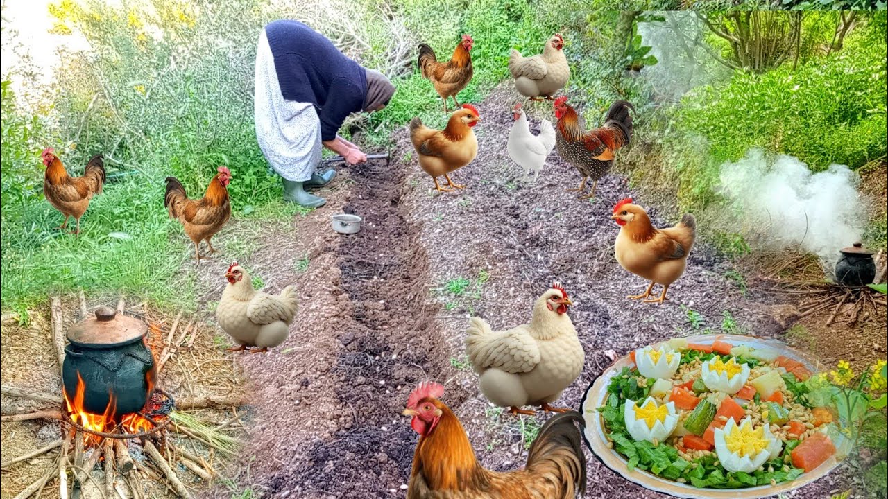 تحضير سلطة جزائرية في الريف أجواء ربيعية ساحرة | حياة الريف في الجزائر #countryside #cooking #food