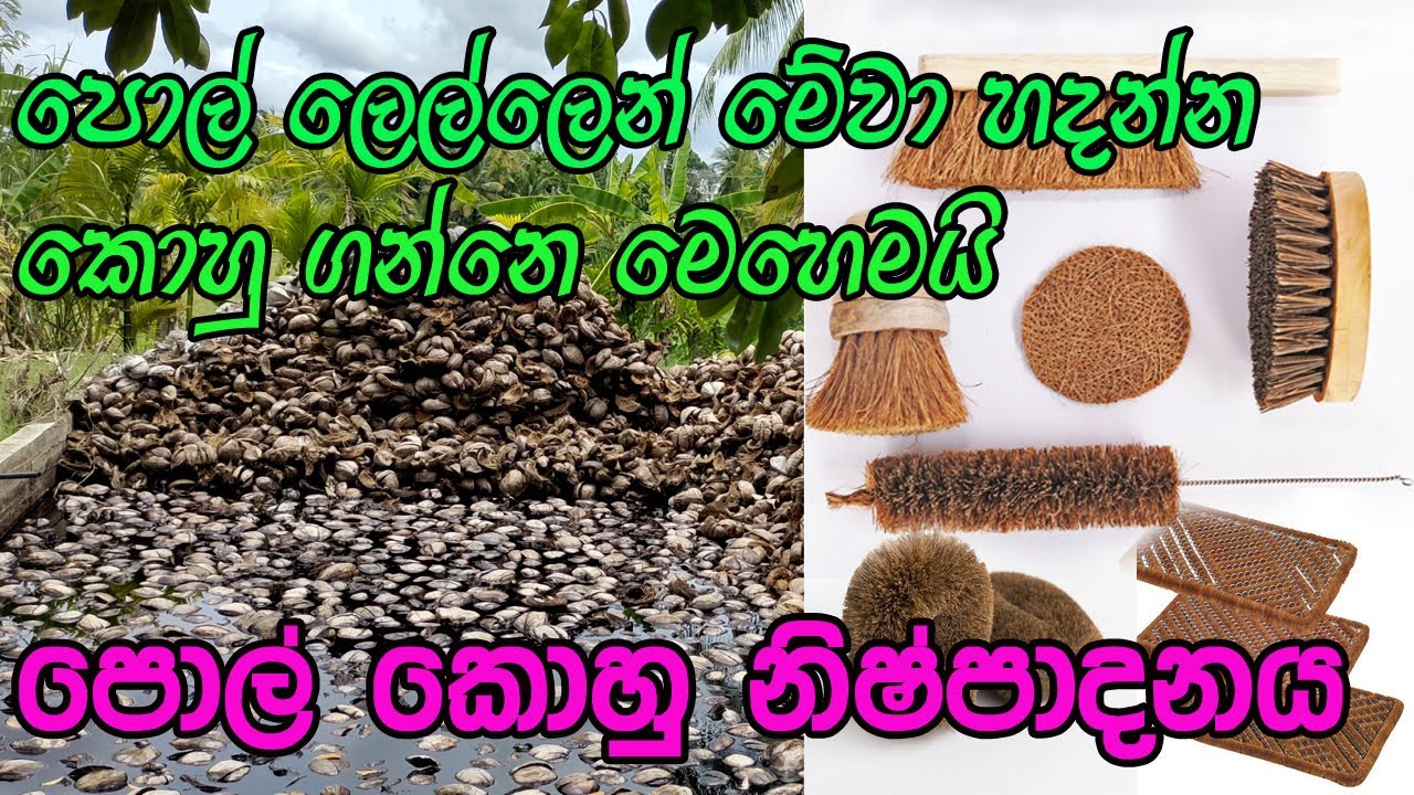 පොල් කෙදි කර්මාන්තය /කොහු නිෂ්පාදන  |  pol kedi nispadanaya  | Kohu Manufacturing / kohu karmanthaya
