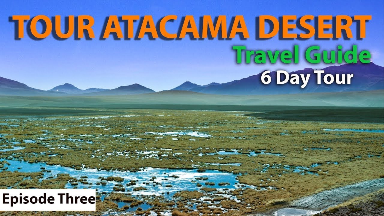 GEYSERS DEL TATIO | Замерзшие болота Драйв | Долина Смерти | Экскурсия по ПУСТЫНЕ АТАКАМА (3)