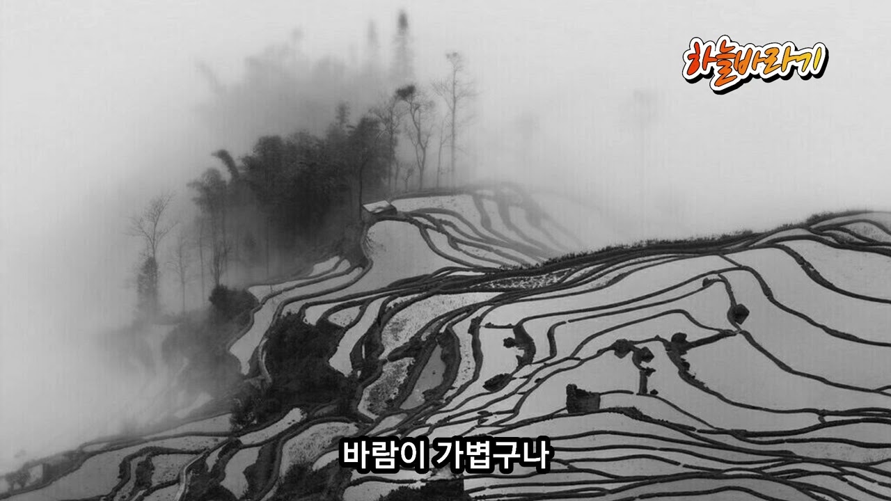 [노래가 된 시조] 하늘바라기. 작시조 : 김광재. 곡 : Suno Ver5.  