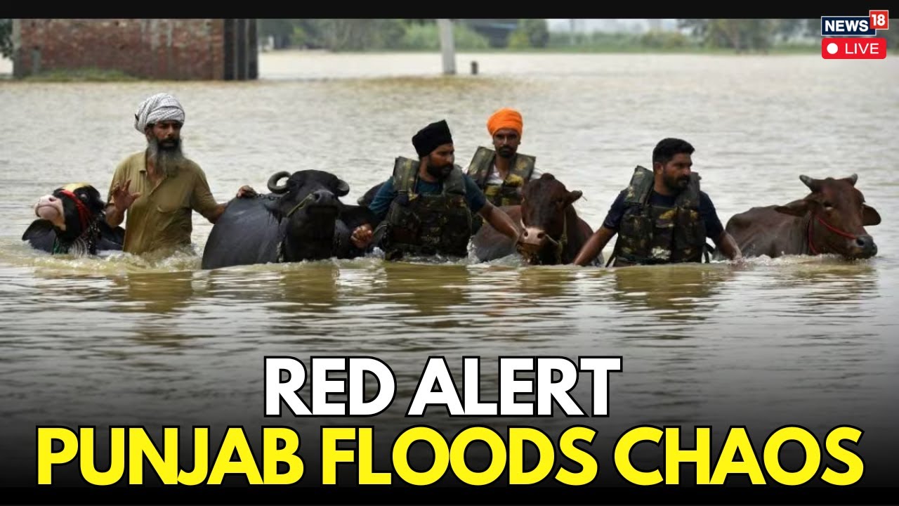 LIVE | Punjab Floods Submerge 2,000 Villages, Two Million Affected | Pakistan Floods | News18 | N18G