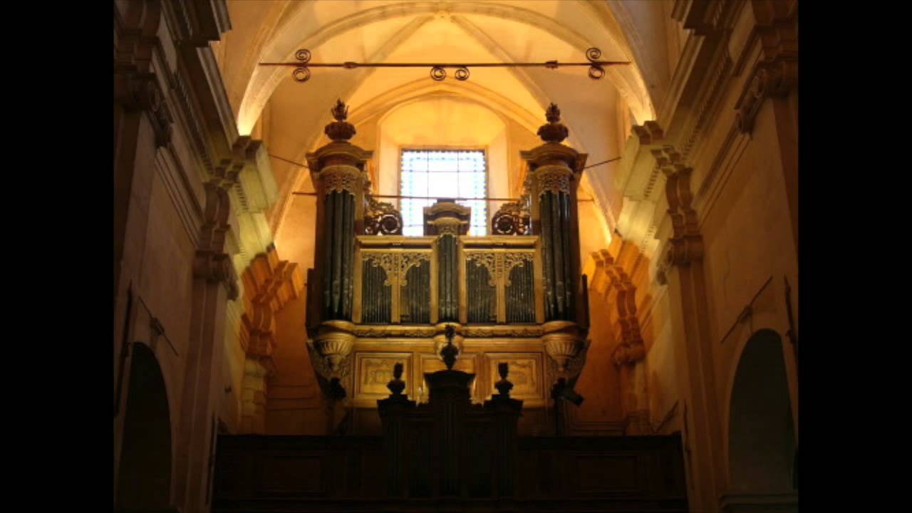 Les Sauvages - Concerto pour orgue et orchestre- Jean-Philippe Rameau