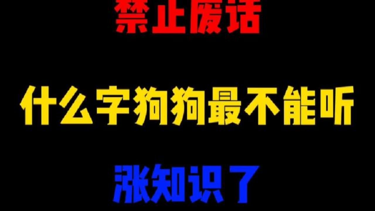 禁止废话：什么字狗狗最不能听？涨知识了#冷知识 #科普一下 #省流