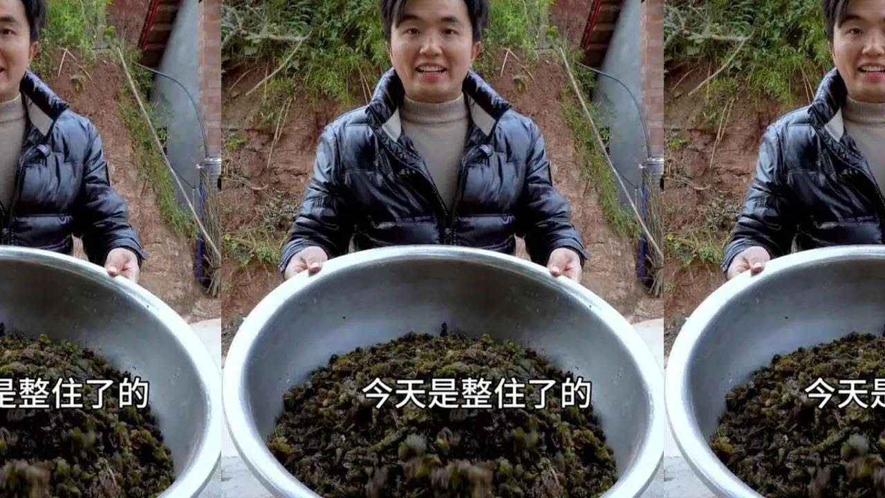 山里的地木耳雨后的美味，徐三娃捡10几斤拿街上摆摊，没想到大受欢迎 #抖音商城