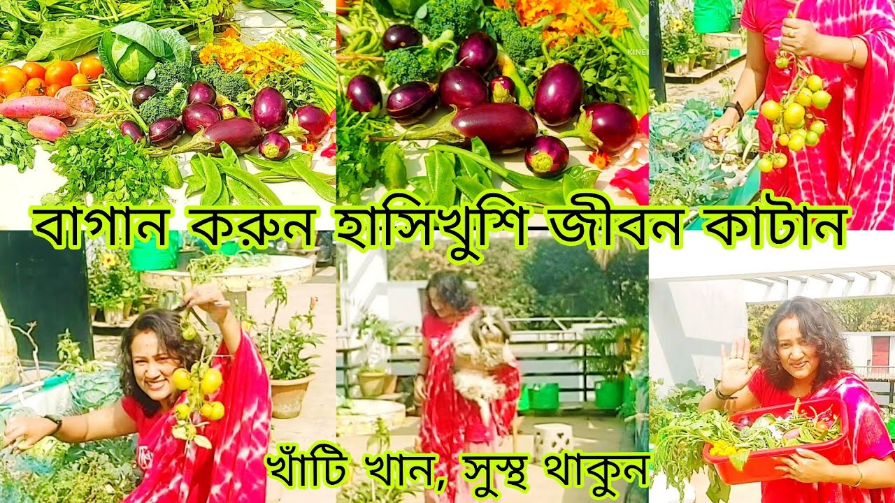 Baganer sathe thakun, sustho thakun valo thakun. Anonde voriye rakhun jibon..#roofgarden