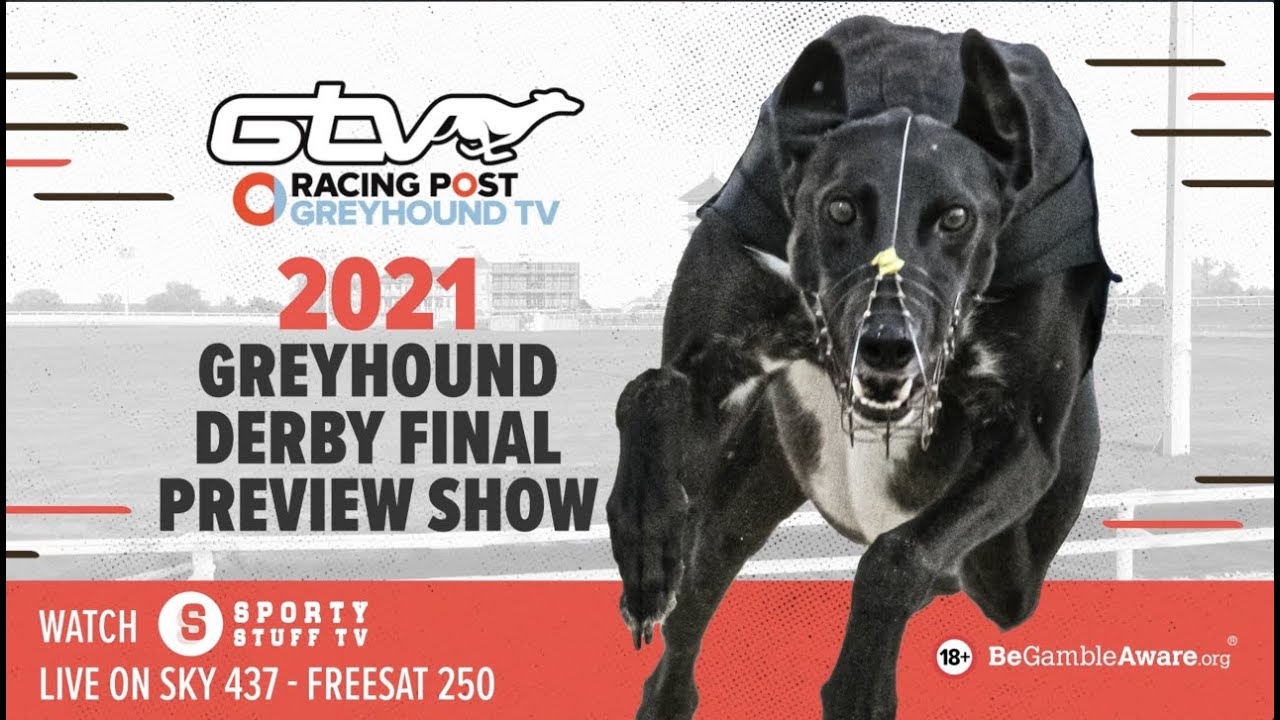 English Greyhound Derby | 2021 Final Preview Show | Racing Post Greyhound TV