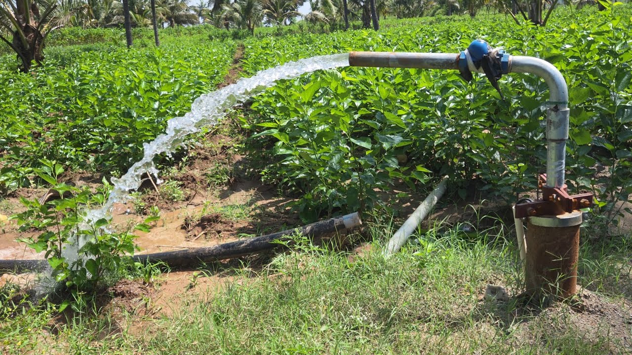 submersible water pump installation 10 hp pump 14stage 500 feet borewell motor installation 