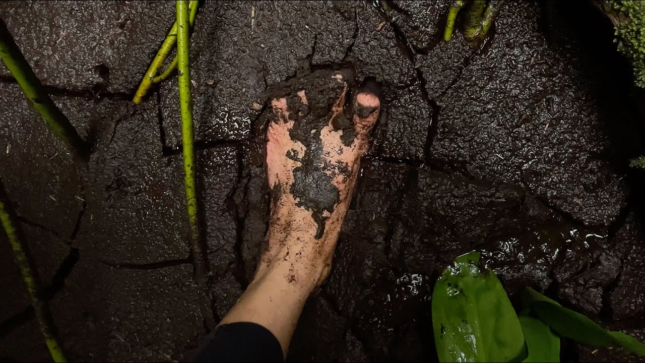 Barefoot in mud on a coastal forest walk