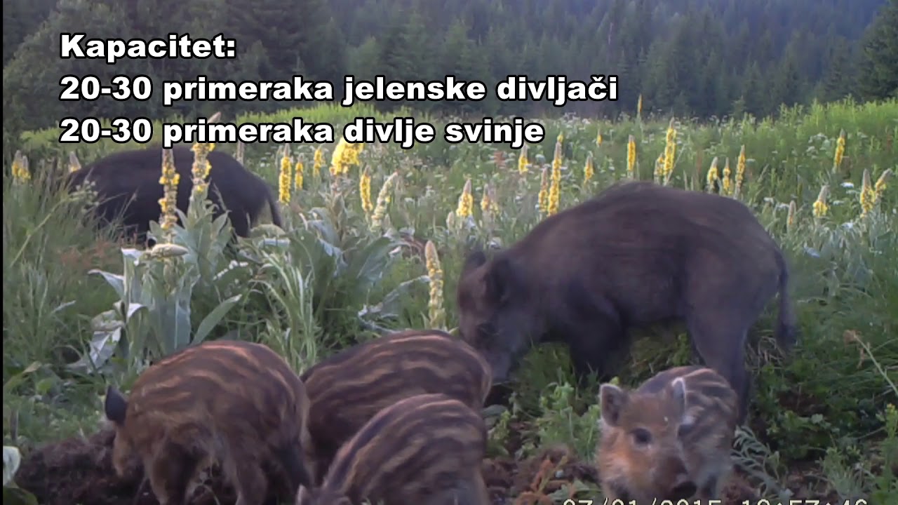 Uzgajalište divljači na Kopaoniku