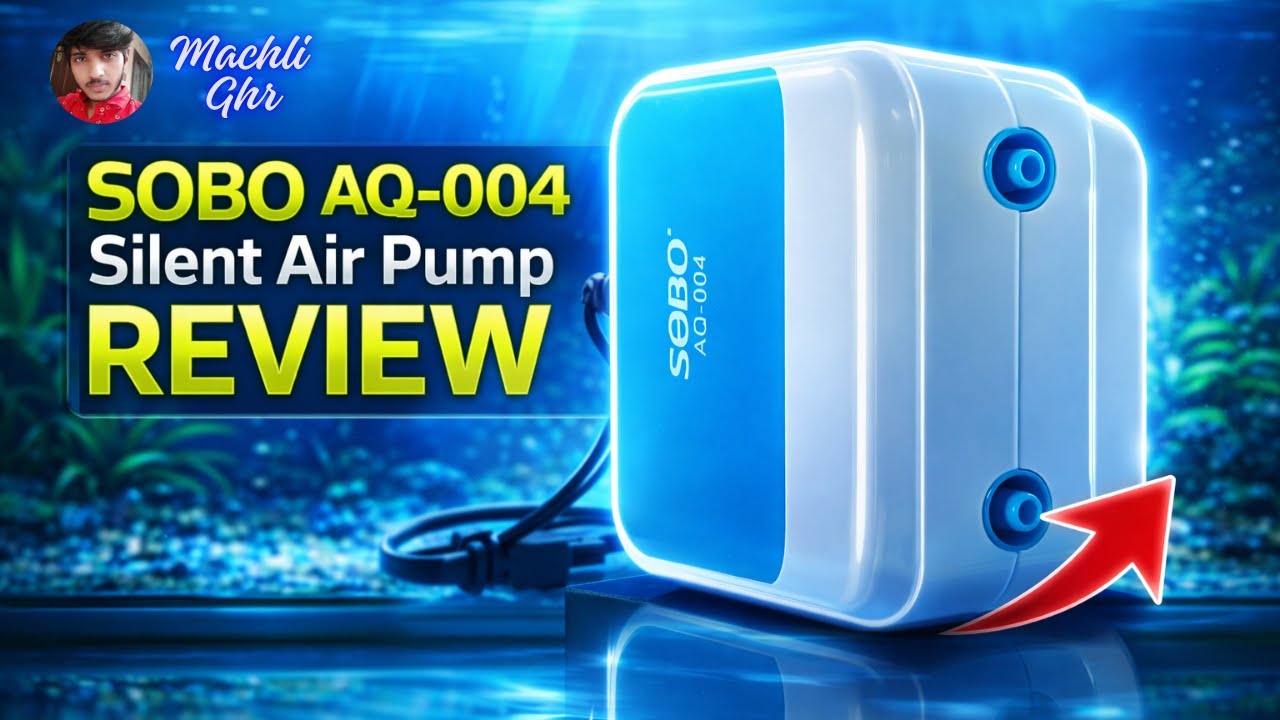 SOBO AQ-004 Air Pump Review 🔥 Unboxing, Sound Test & Air Flow | Machli Ghr | 