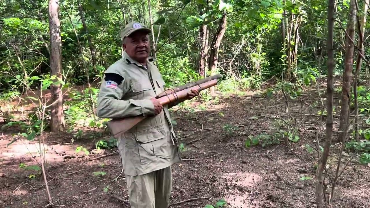 ASSOMBRAÇÃO NA ROÇA , VEJA NO QUE DEU .