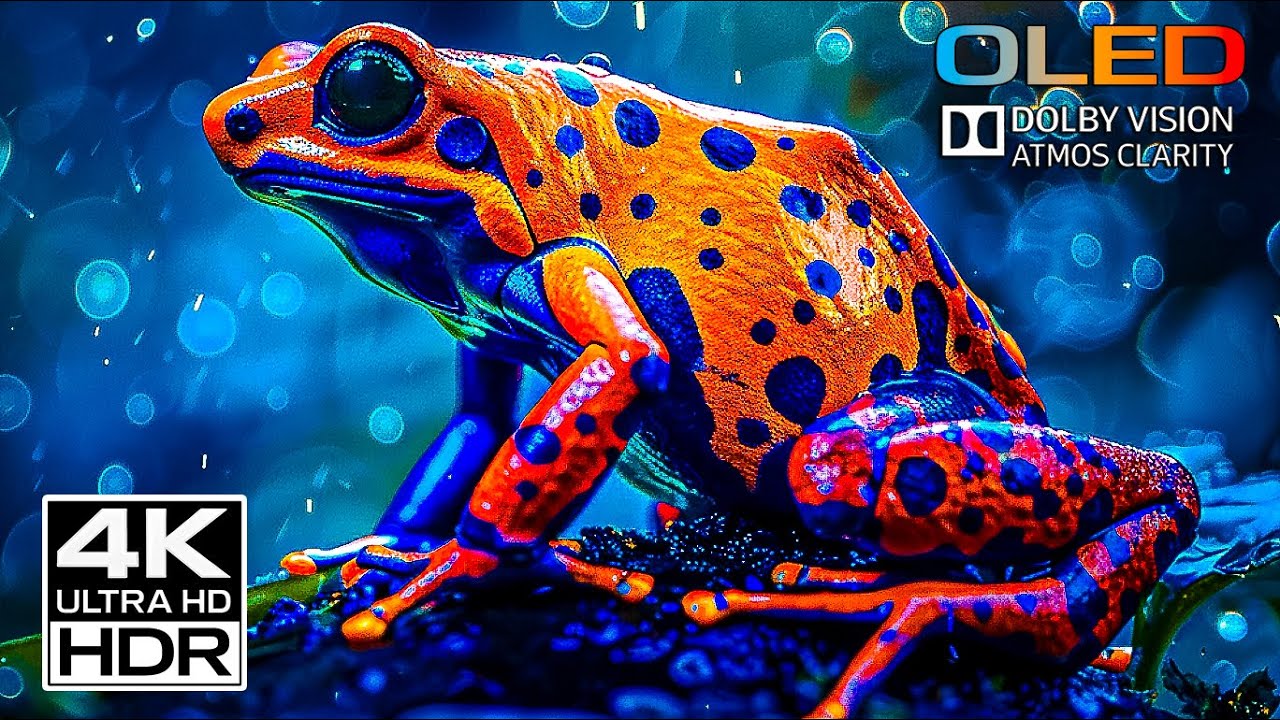 EPIC 4K HDR Ultra HD Showcase | Dolby Vision 60fps (4K/8K TV Test)