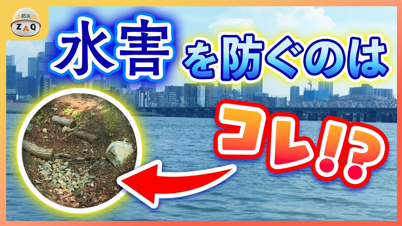 【自宅で実践！】「雨庭」をつくってわが街の洪水を防ぐ（こち安）