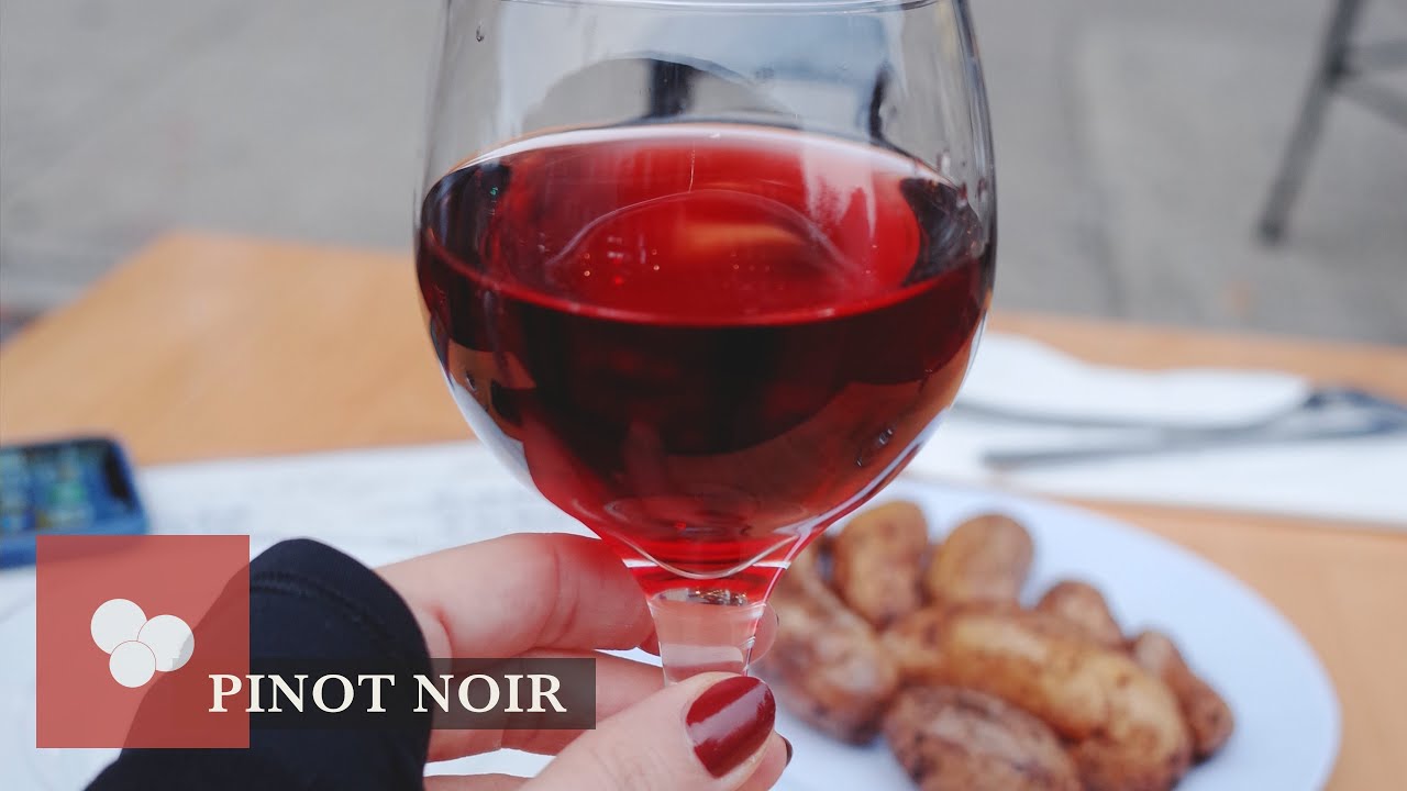 KIRMIZI ÜZÜMLER - PINOT NOIR