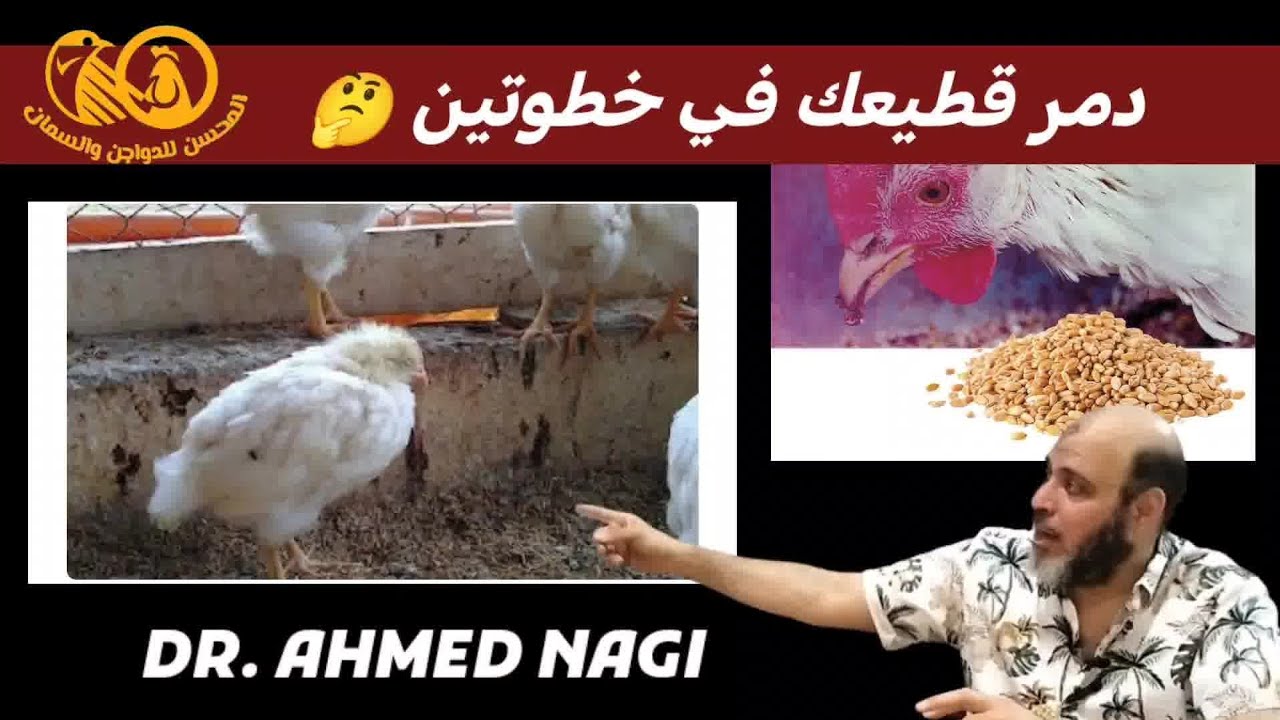 هو لازم استعمل