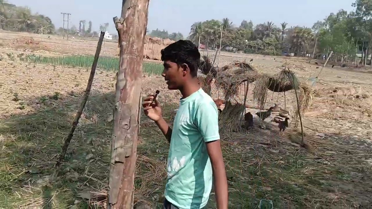 #my daily vlog#minivlogs