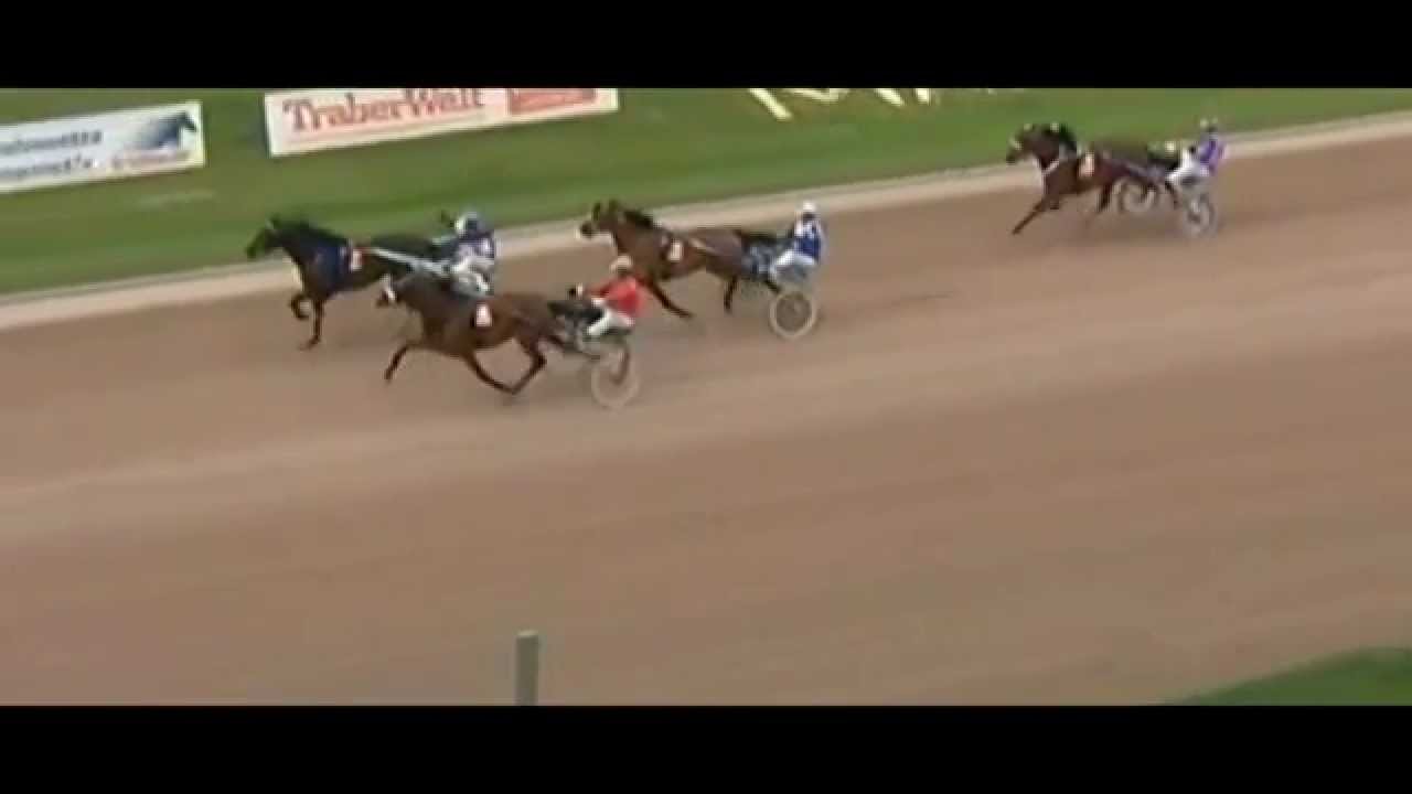 Buddenbrock-Rennen 2012_Stallion_Global Challenger_Michael Schmid