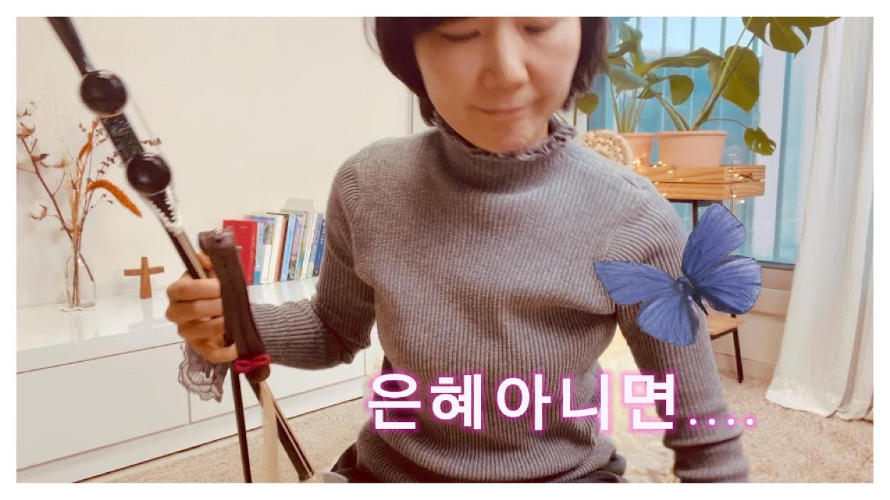 은혜아니면 나 서지 못하네 | 조성은 | 찬양해금커버