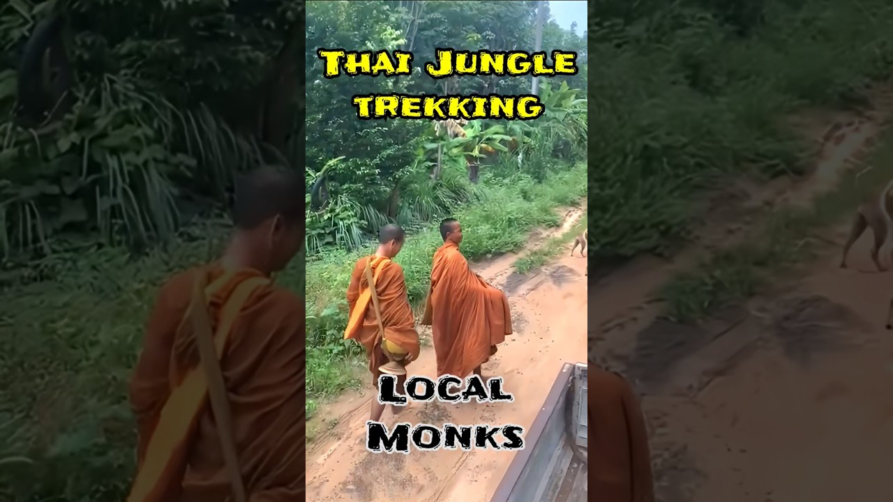 Trekking in the Thai jungle north east | Thailand