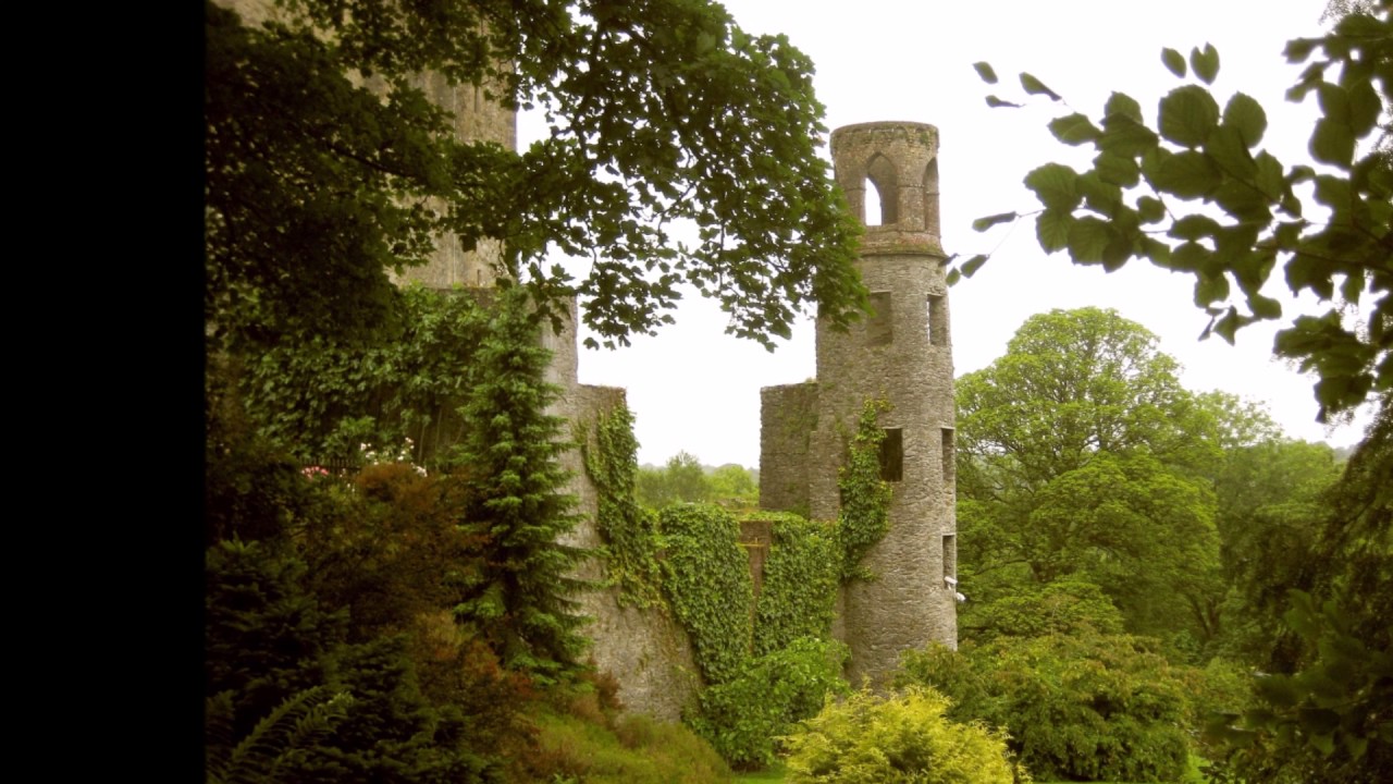 Blarney Pilgrim