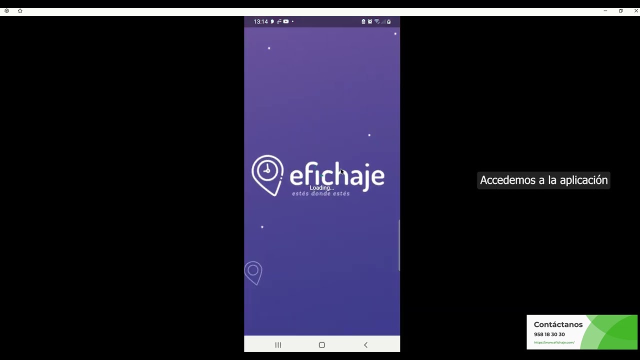Efichaje - DEMO