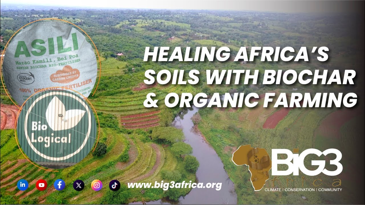Восстановление почв Африки с помощью биоугля и органического земледелия