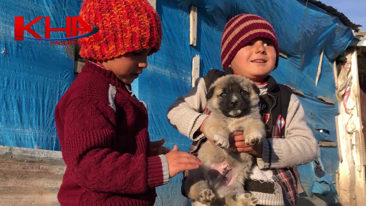 Köylerinde mutlular – Hacıveli köyü