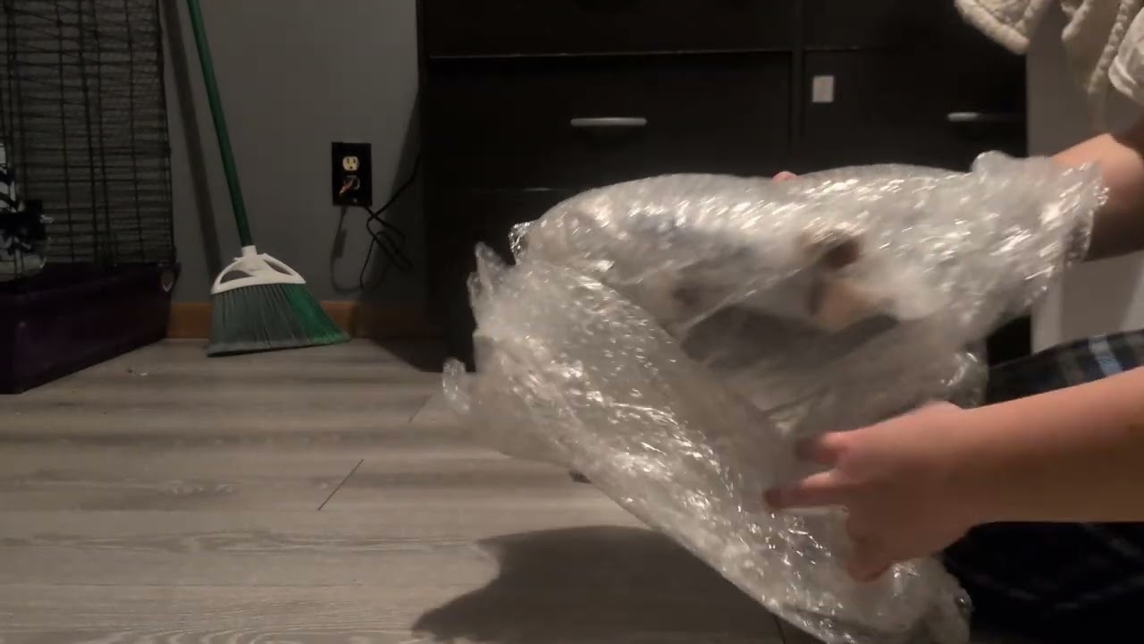 Unboxing breyer Rhiannon & Rhemi   junglebird Breyers 