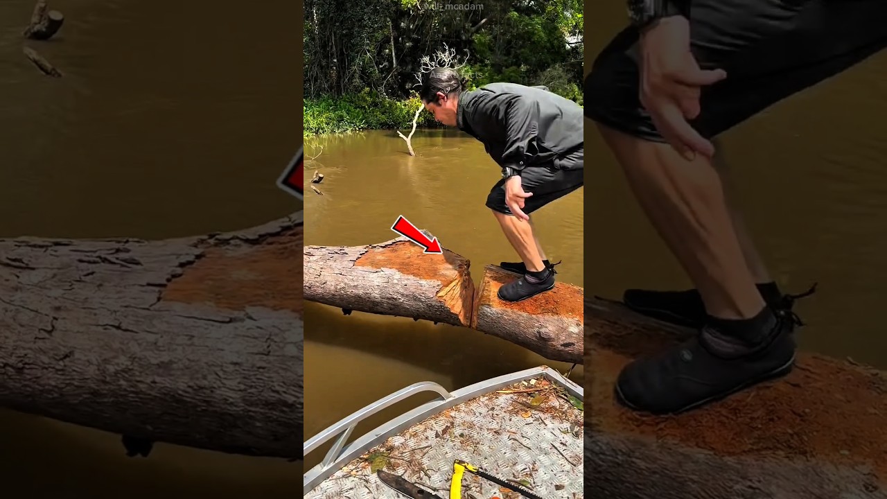 the boy fell into the water #shortvideo