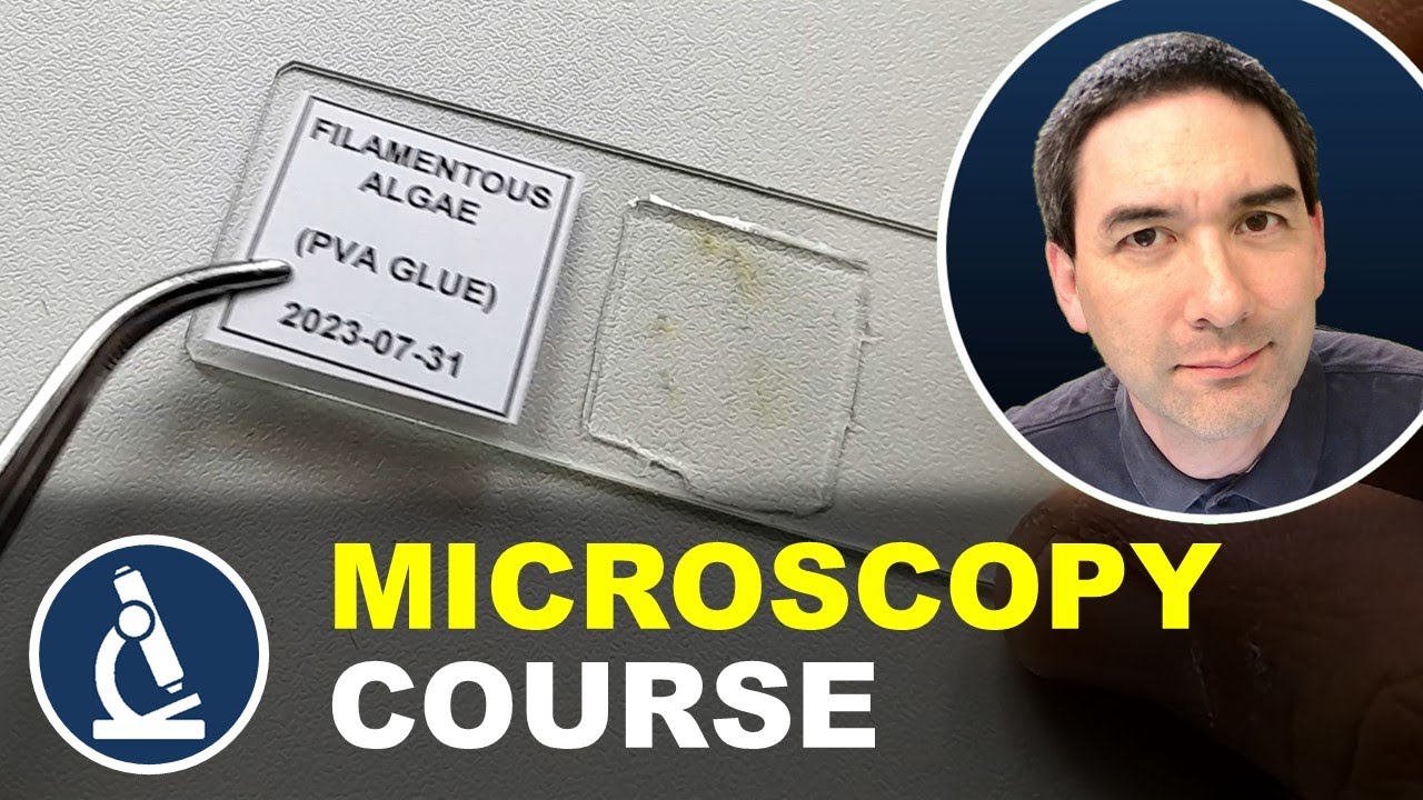 How to make a permanently mounted microscope slide | MICROSCOPY COURSE