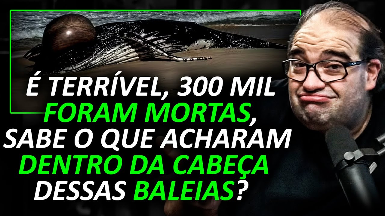 A HISTÓRIA NÃO CONTADA que ATERRORIZA os OCEANOS ATÉ HOJE... [AULA com SACANI]