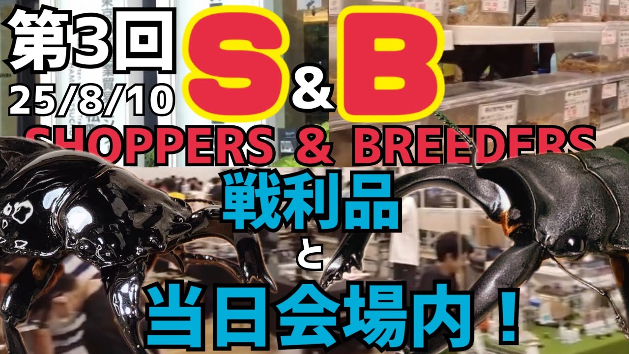 【SB】第3回SHOPPERS & BREEDERS の戦利品と会場の様子をお届け！カブトムシ、クワガタ大集合イベント！