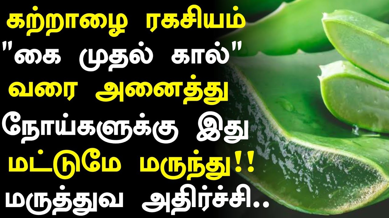 கற்றாழை 10 மருத்துவ உண்மைகள்! | Aloe Vera Health Benefits in Tamil | Aloe Vera Health Tips in Tamil