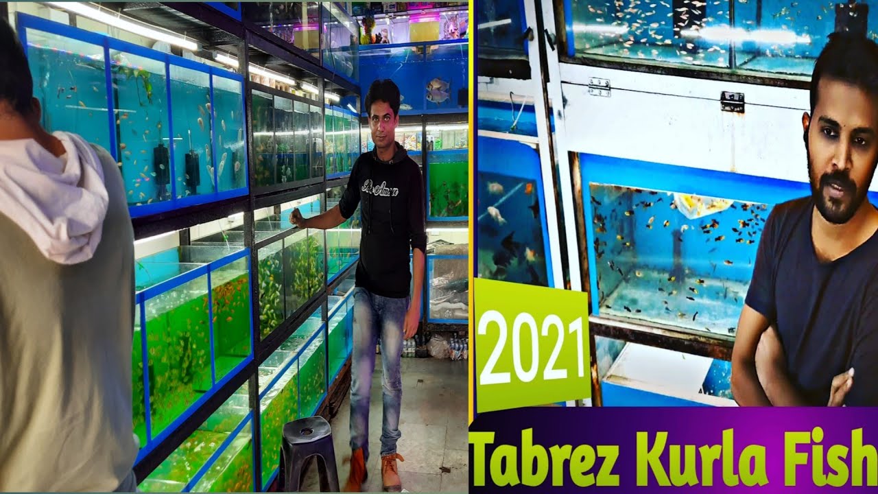 Kurla Fish Market Se New Fish Stock Agaya