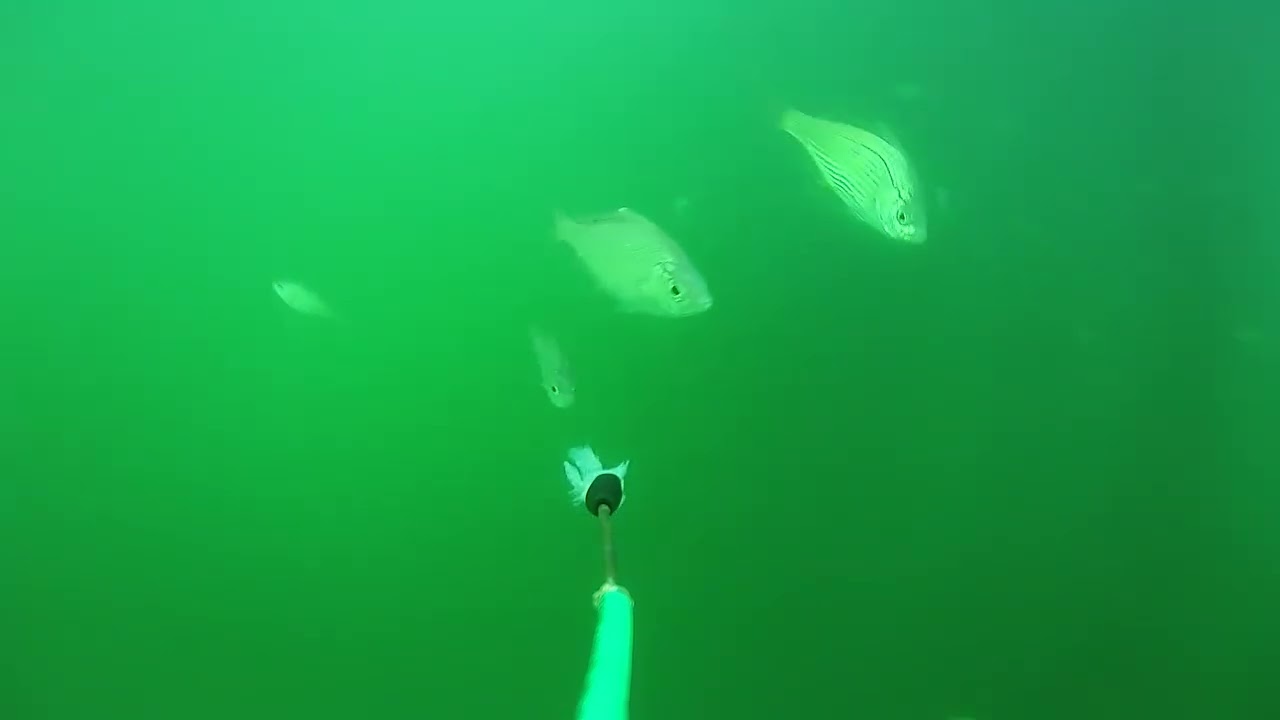 7/29/2025 Underwater Camera Dropped Off Newport Pier, CA