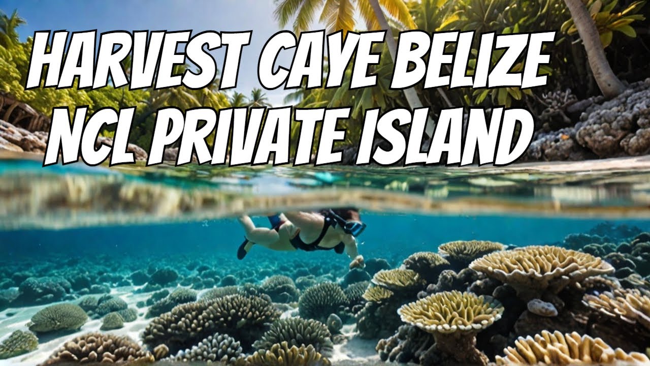 Harvest Caye: райский частный остров NCL в Белизе!
