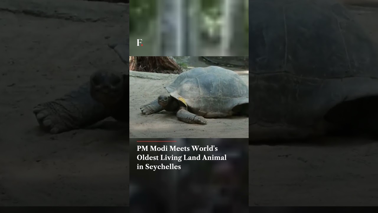 PM Modi Meets World's Oldest Living Land Animal in Seychelles | Firstpost News
