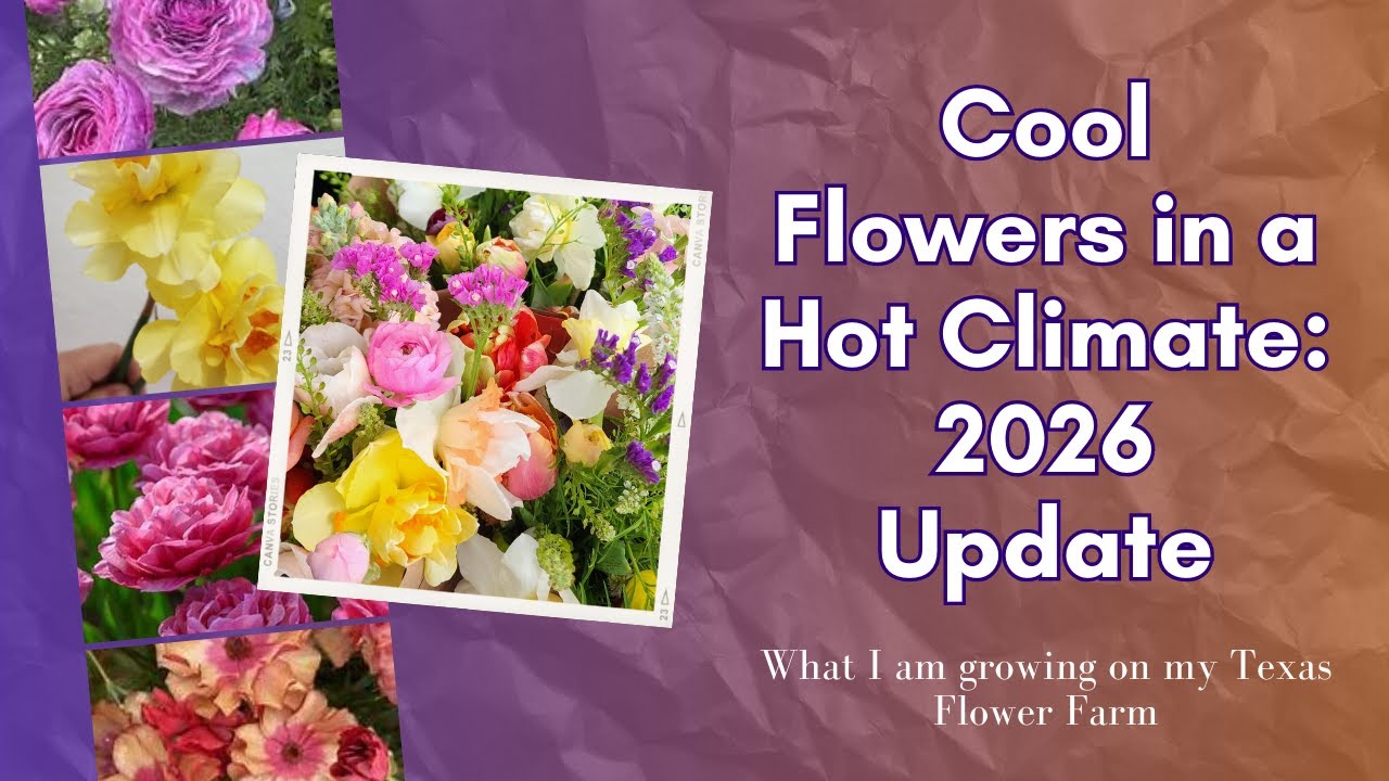 Все весенние цветы 2026 года! Что я посажу этой осенью на своей техасской цветочной ферме